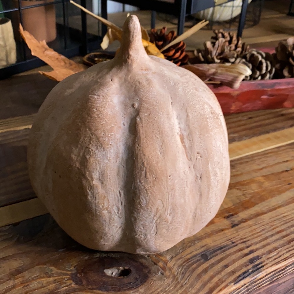 Pottery Barn Terra Cotta Pumpkin - Picture 5 of 12